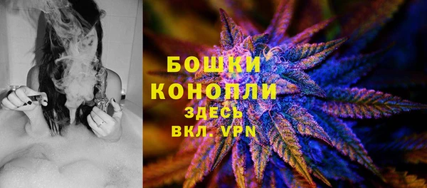 ГАЛЛЮЦИНОГЕННЫЕ ГРИБЫ Покачи