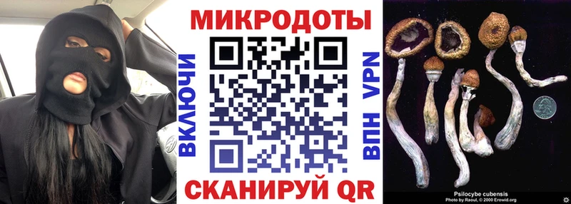 Галлюциногенные грибы Cubensis Короча