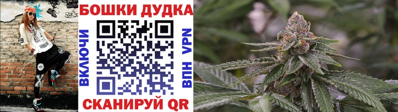 Канабис Amnesia  закладка  Короча 